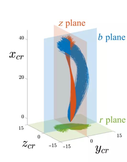 人类的精子是如何产生的,科学家们首次发现精子的运动规律