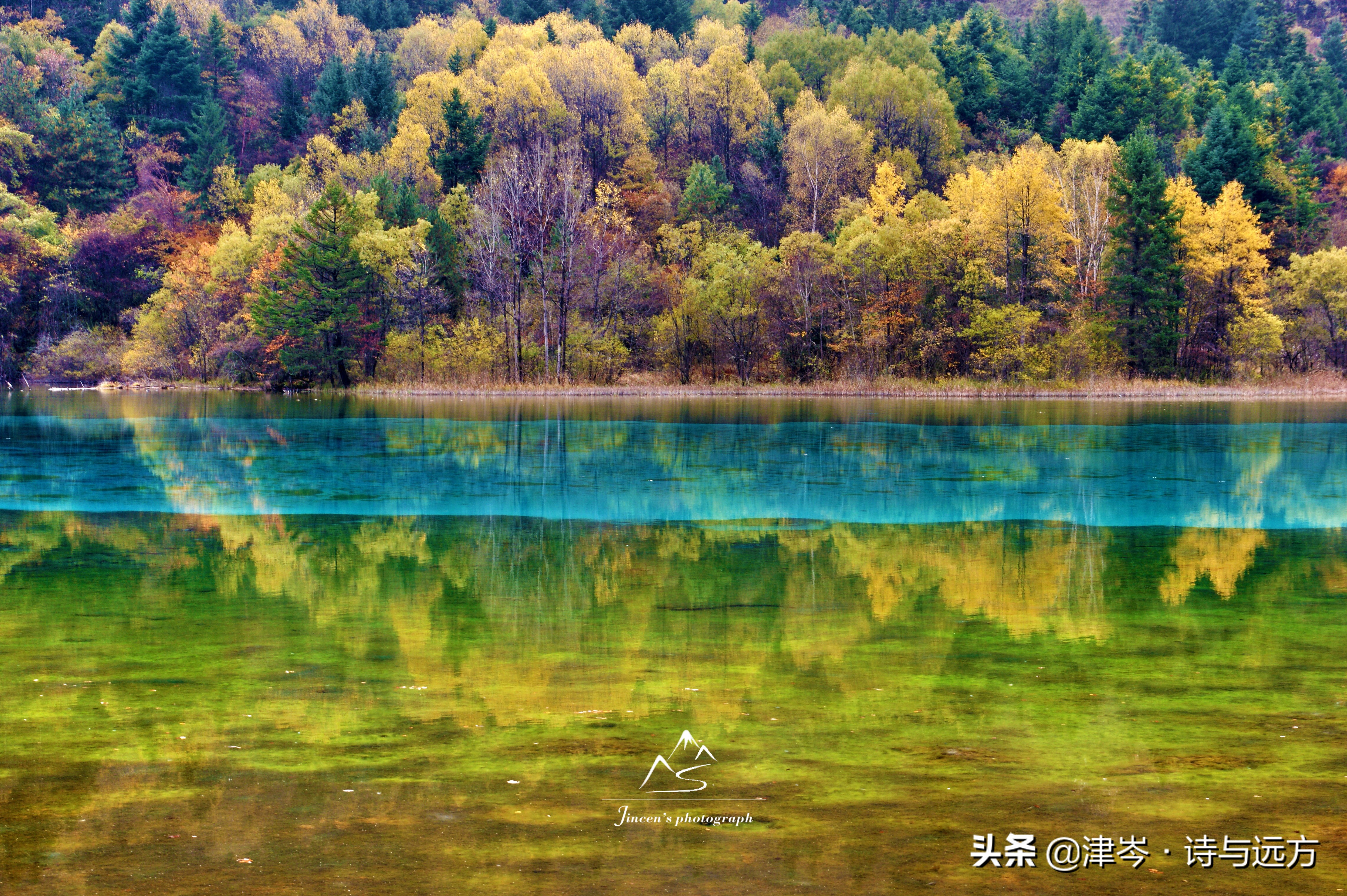 人生必须要去的景区,人间仙境九寨沟一生必去的美景