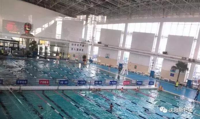 游泳池是夏季避暑的好地方,夏天去游泳馆避暑