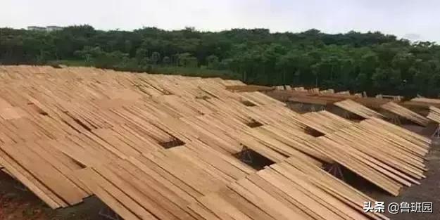 地板界中的爱马仕,红木地板与柚木