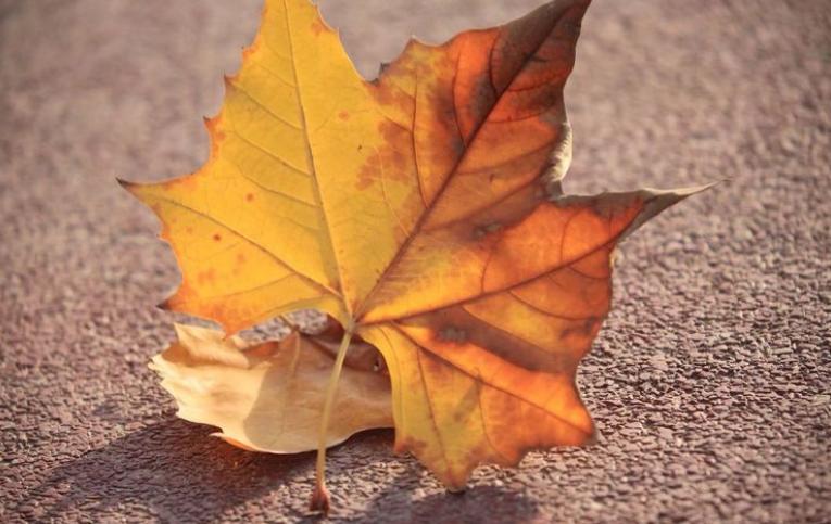 总是被小人欺负该怎么应对,遇到欺负你的小人该怎么办