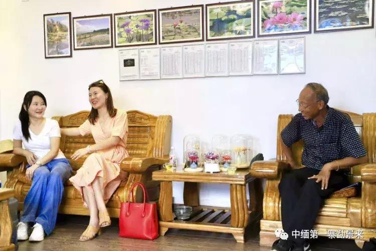 泰国顶级睡莲博士Dr.Nopchai版纳行,被勐景来圈粉