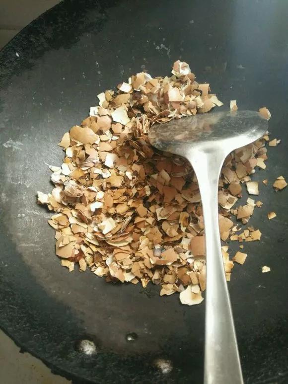 想要养好绿萝注意这几点就够了,绿萝这样养疯长如瀑布半月长爆盆