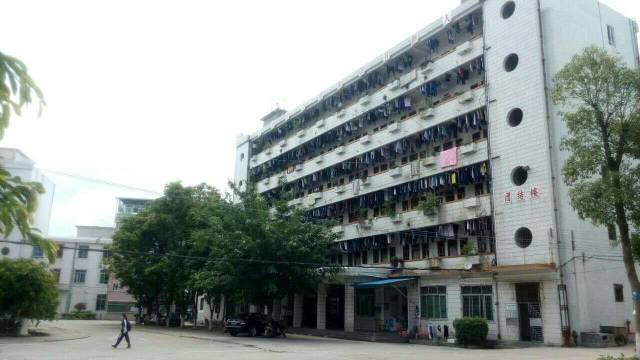 遇见│五华水寨中学,琴江河畔,炽热的青春遇见最好的我们