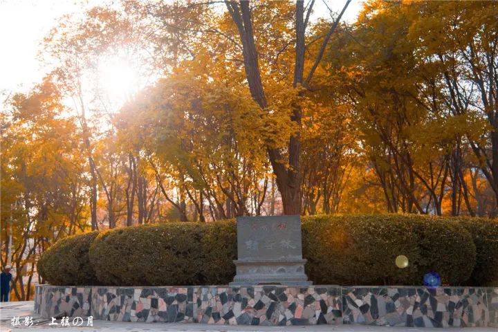 美爆了！让全世界听到，我的名字叫白银！！！