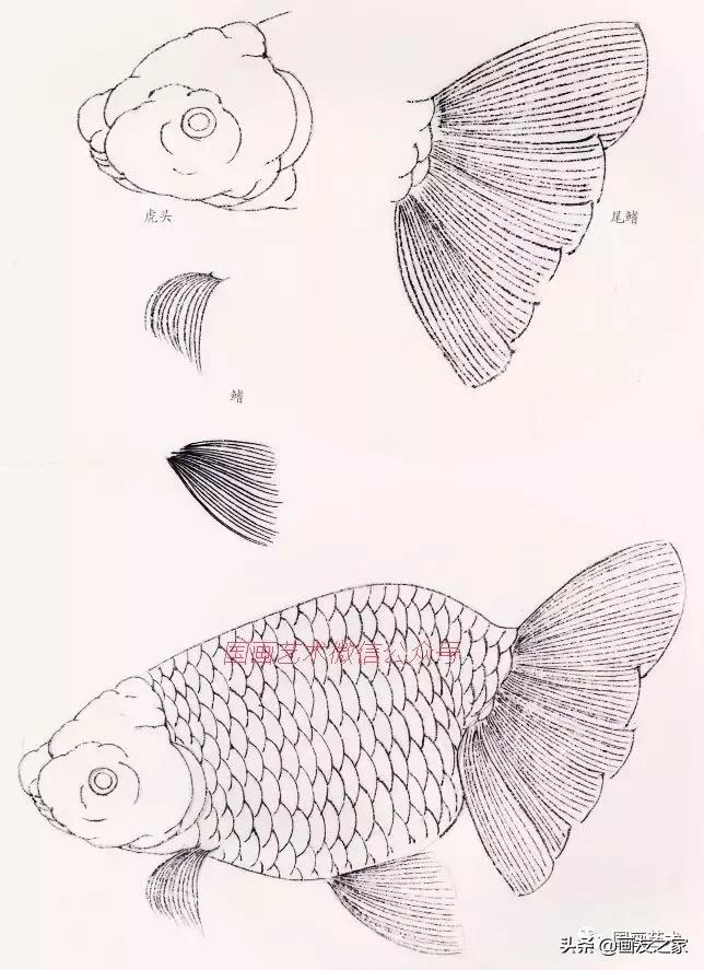 金鱼工笔国画精品欣赏,工笔金鱼图片大全大图