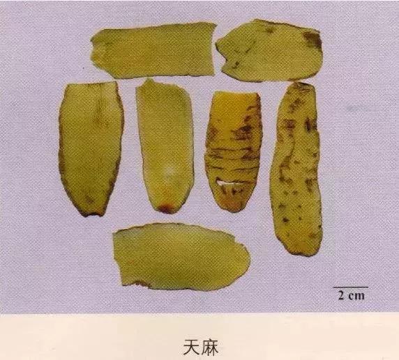 中药材图片大全大图带药名,200多味中药材图谱带图