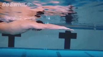 游泳基础自学,游泳自学入门篇