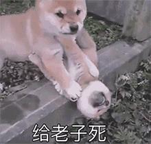 淘宝闲鱼有什么缺陷,淘宝闲鱼能成为电商吗