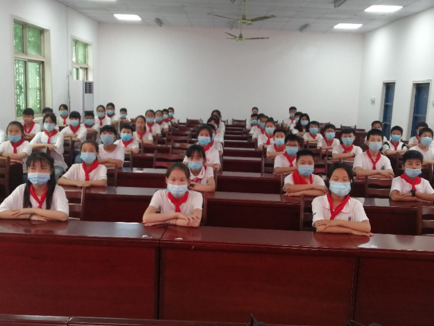 小学学校庆七一主题党日活动,七一主题党日活动学校