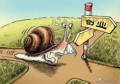 一个自媒体创业者的自白项目,一个农民创业者的自白故事