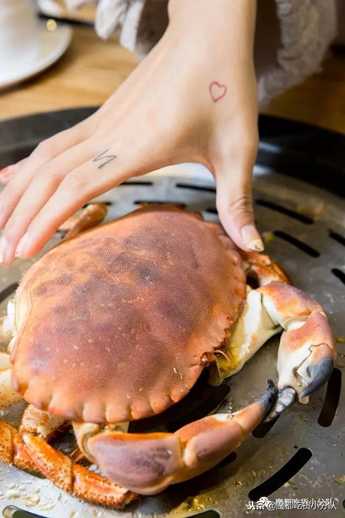 专吃加勒比海盗的店，还敢吃罗志祥