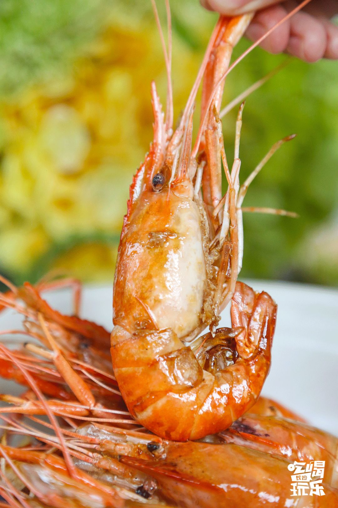 长沙城南绝美音乐餐厅！7.8折吃遍全国精致料理