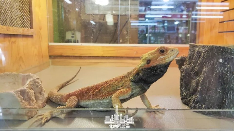 不去后悔去了更加后悔的景点,不去后悔去的景点