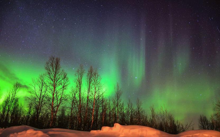 他叫辛巴,不是狮子王,8岁穿越12国:最好的教育,永远在路上