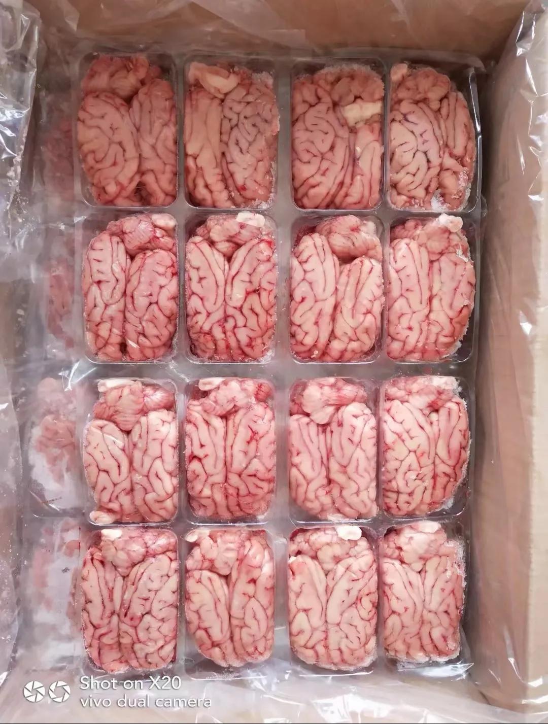 民治冻品市场,济南冻品市场