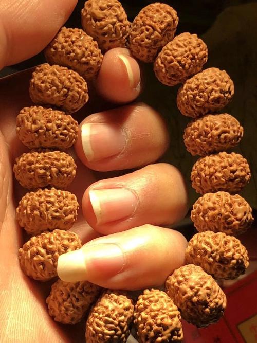 新手金刚菩提盘玩方法,金刚菩提新手入门知识