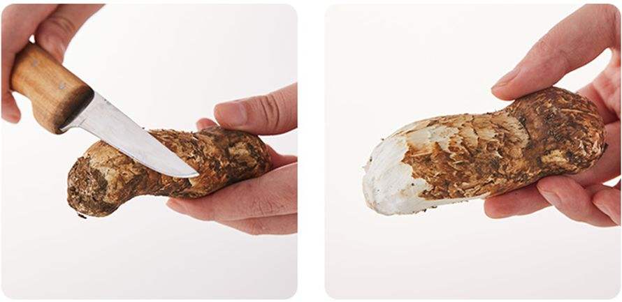 新鲜松茸菇的清洗方法,松茸表面黑色需要清洗