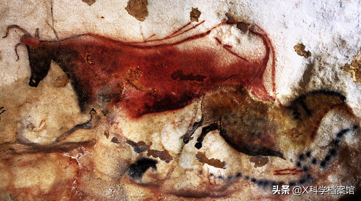 禁止人类参观的地方有哪些,世界禁忌之地排行榜