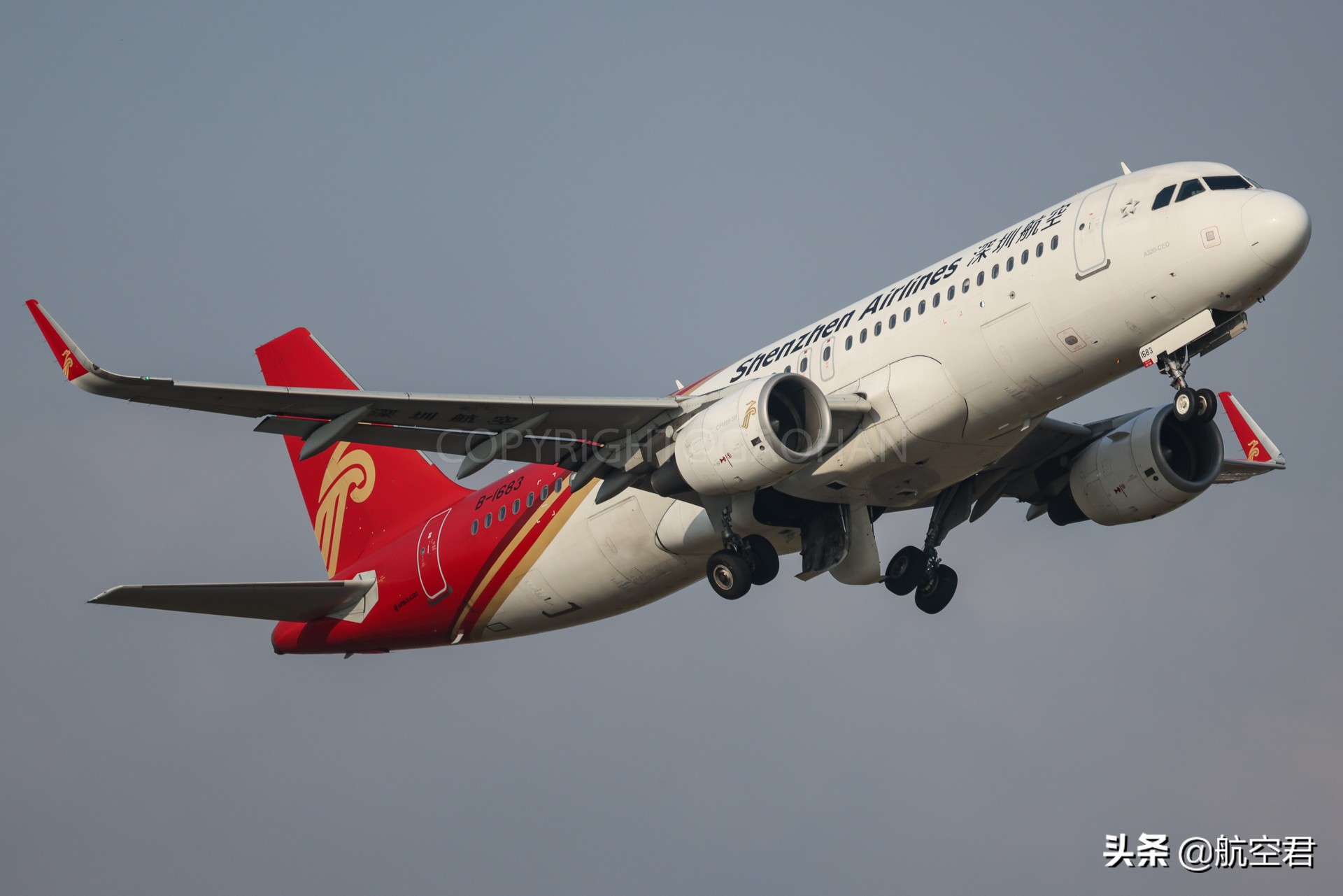 国内航空公司如何选择,各航空公司怎么选择