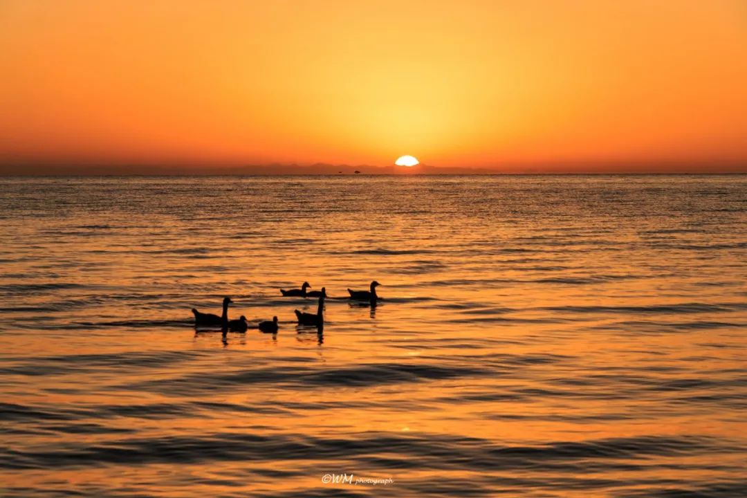 青海旅游攻略景点必去,一生一定要去一次青海吗