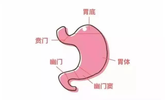 海拔高的地方拉肚子是怎么回事,高原反应拉肚子怎么快速缓解