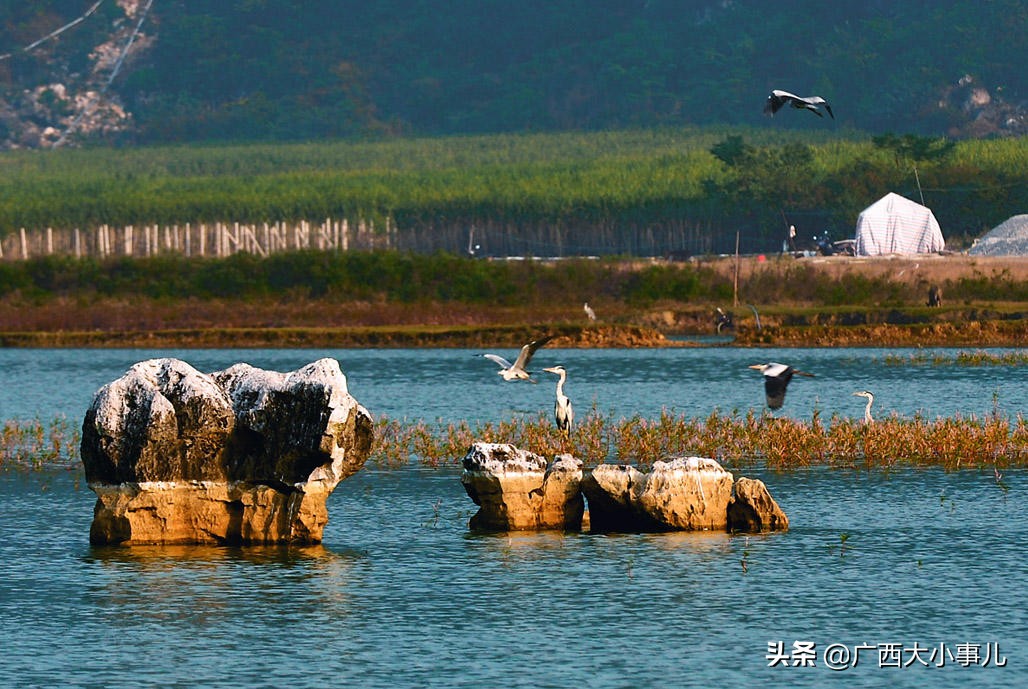 遇见别样的风景,上林风景一日游