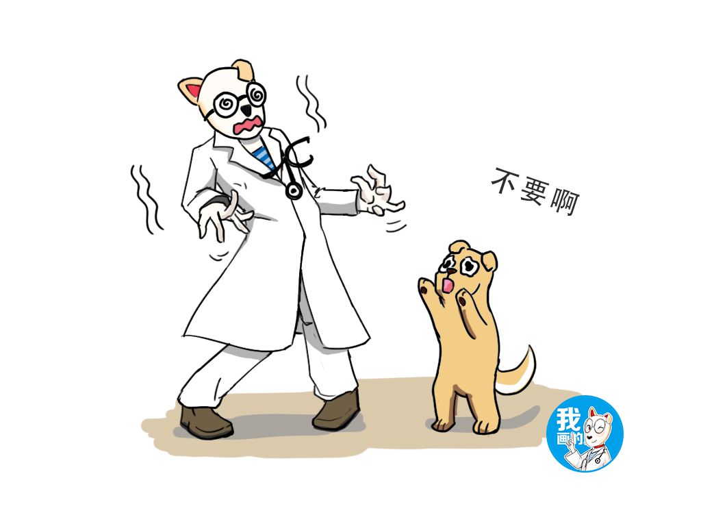 辟谣：听说养狗能降低高血压和冠心病的发病率，真有这么神奇吗？