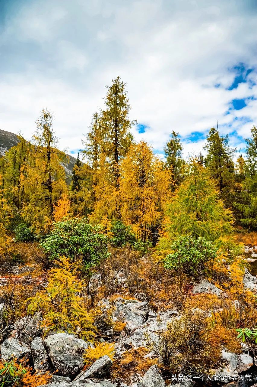 忽然想去自驾游了,想去川西看星空