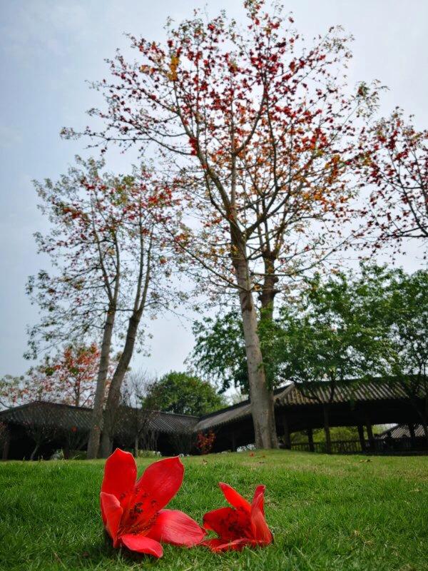 手拍世界手机摄影平台,手拍世界摄影平台