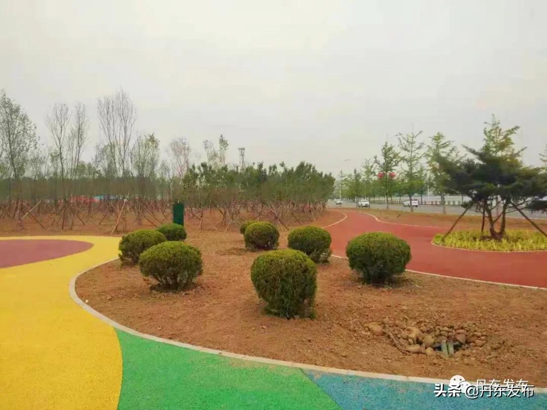 健身游泳两不误,健身娱乐两不误