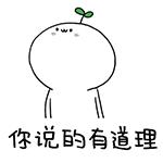 十堰老年人补牙,十堰种植牙齿费用