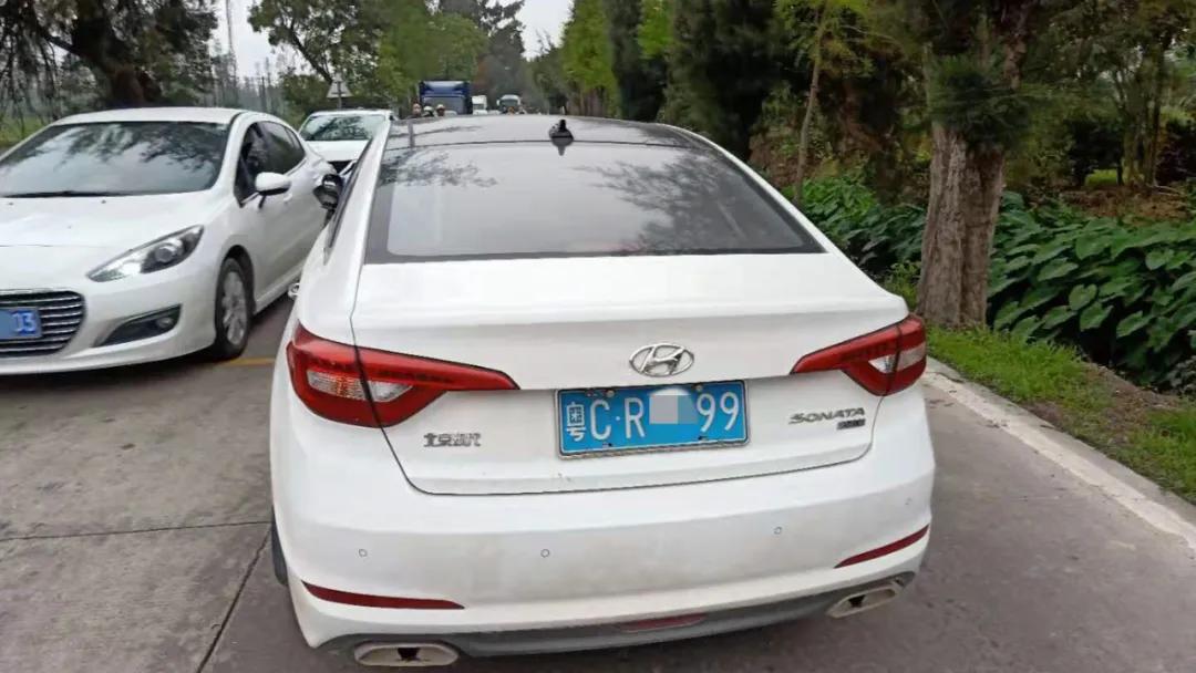 往前开,往鱼塘开!8年驾龄老司机的“翻车”过程