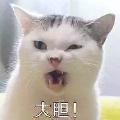 为了涨粉,为涨粉爬上铁轨自拍