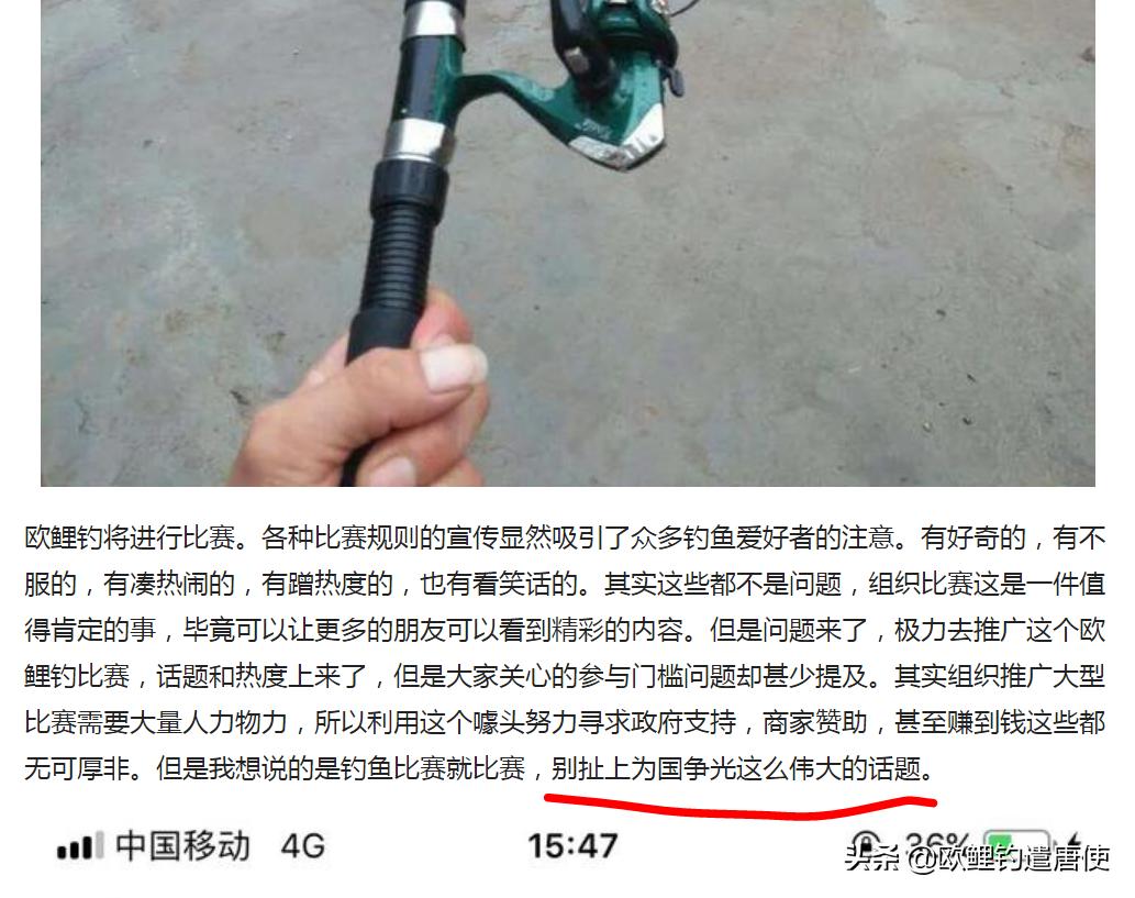 欧鲤钓适合中国吗,欧鲤钓入门