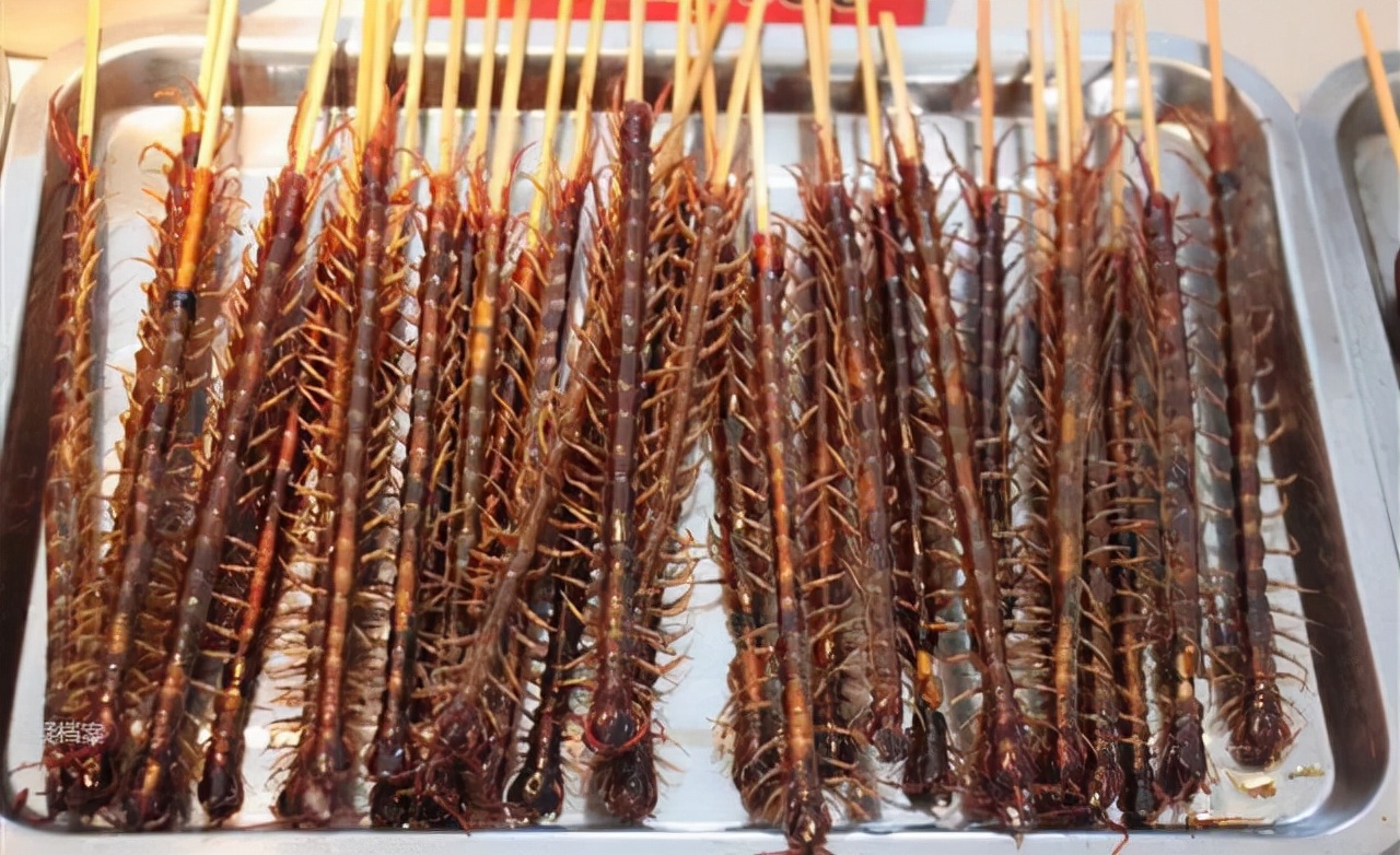 最大蜈蚣捕食,巨型蜈蚣vs海鸟