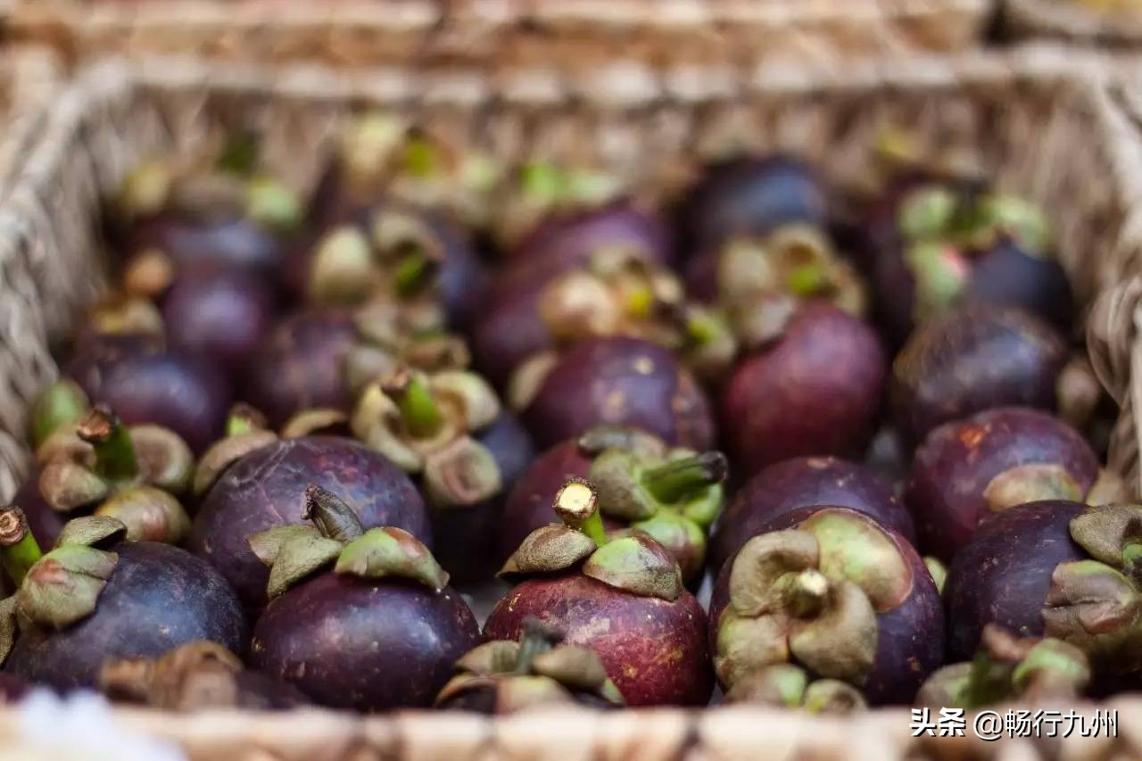 吃过这些水果，才算真正来过马来西亚