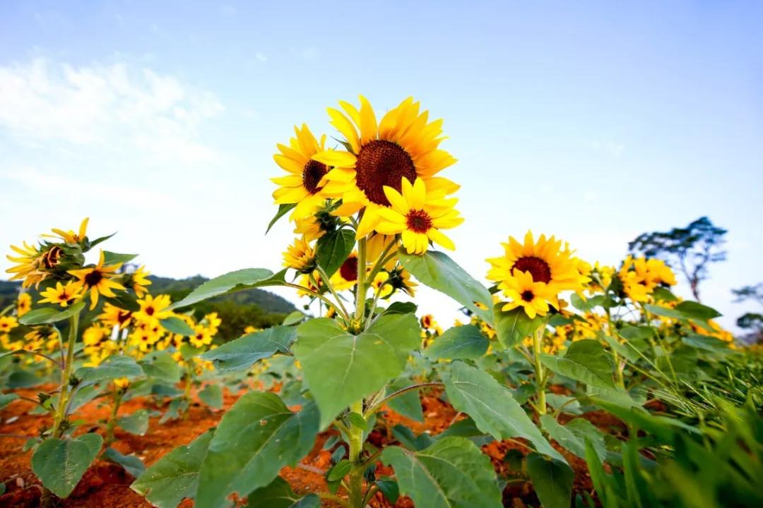 珠海买房过冬真实感受,在珠海买房十大秘诀