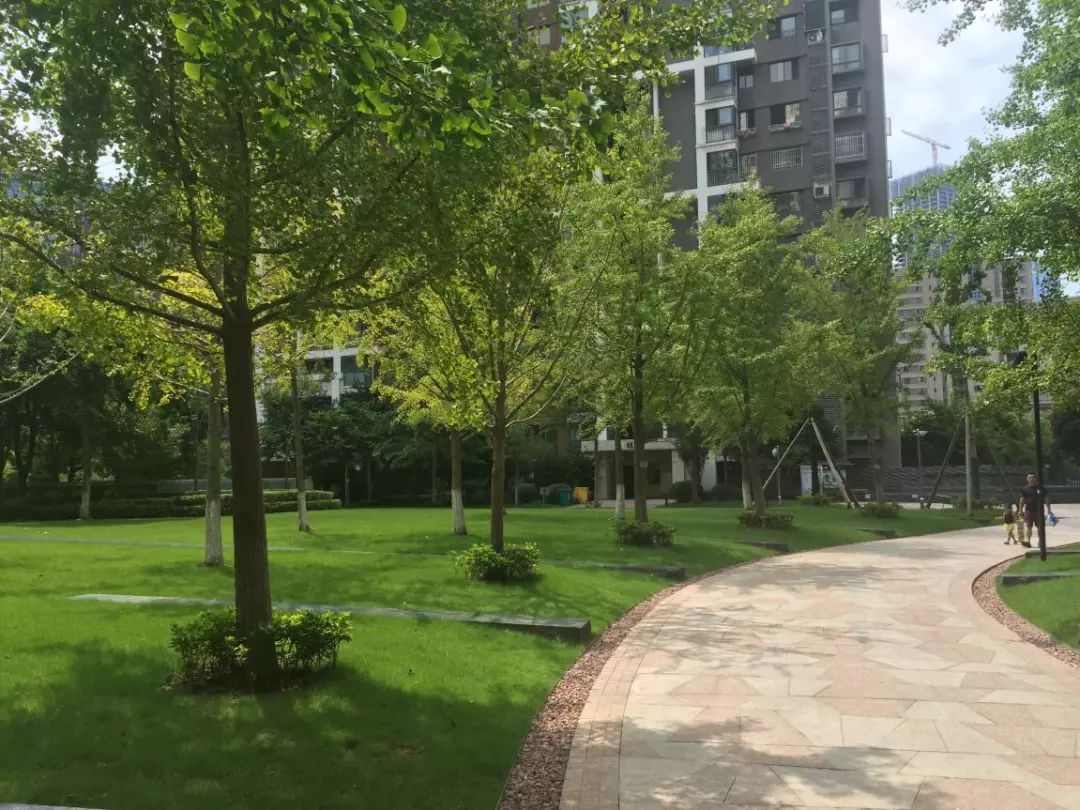 南京前十名物业公司,南京十大物业公司排行榜最新