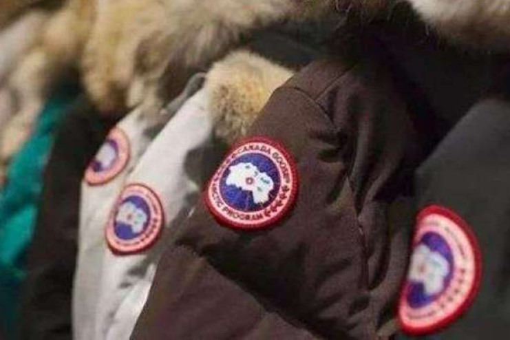 多元化和聚焦区别,波司登2024发布会