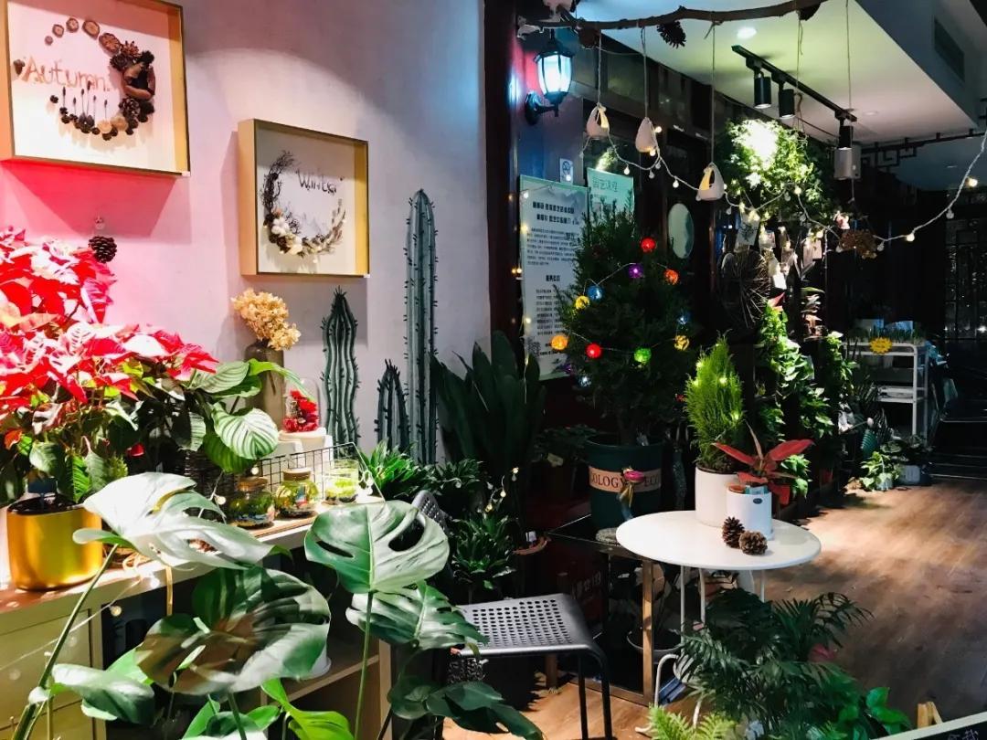 路过南京的地方,路过南京的夜晚