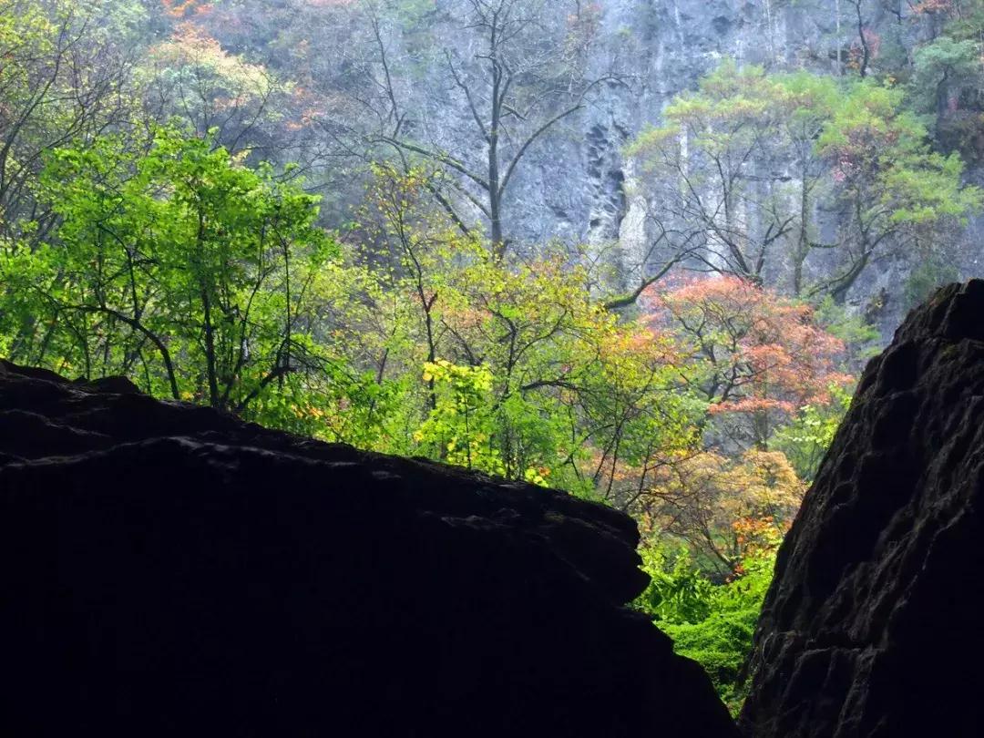 如果有一天累了就回老家到处走走,如果有一天累了就回来吧