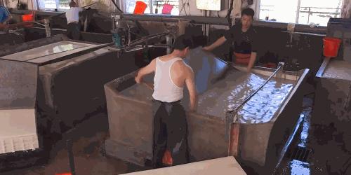 各种好的宣纸,什么样的宣纸好用