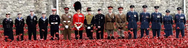 双十一不剁手战胜多少人,双十一不剁手买东西