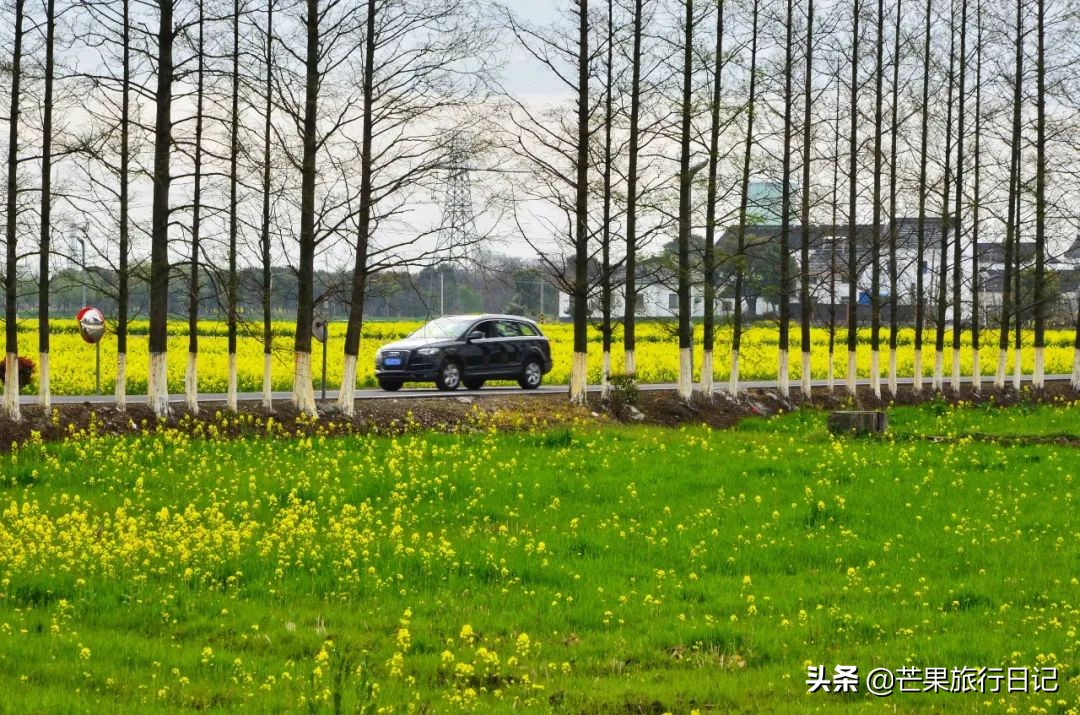 江苏绝美人间仙境风景民宿,江苏最漂亮的湖景民宿