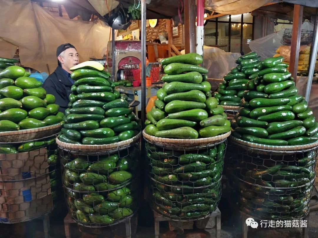 越南美奈跟大叻哪个更值得去,胡志明美奈大叻游