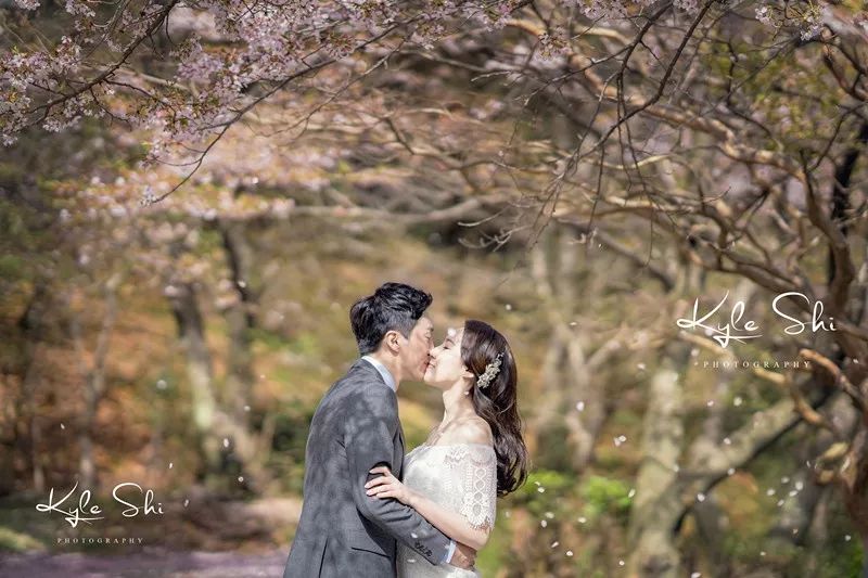 樱花季去京都怎么避免人太多,樱花季去日本旅行