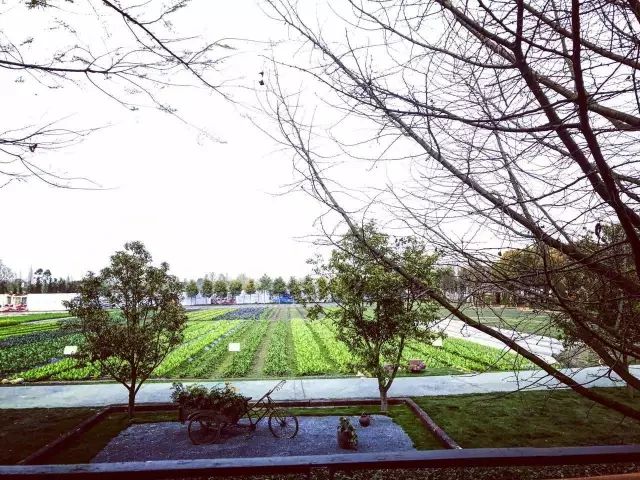 成都多利农庄:如何解决土地、资金、产业、三农问题