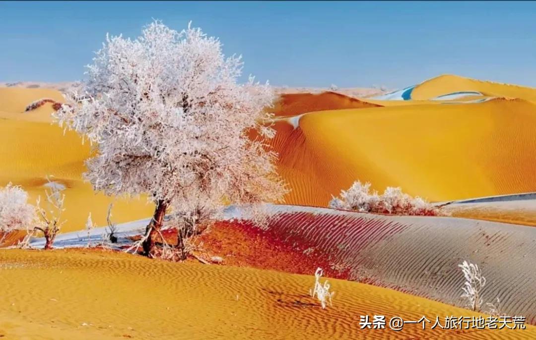 如果你不了解现实你就去看历史,如果你不了解历史就无法展望未来