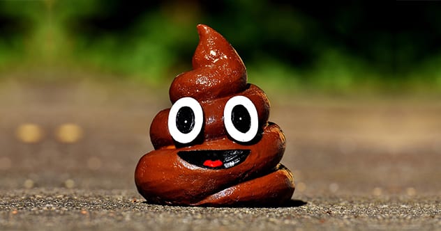 不可思议！国外有人居然因1块石头赚100万美元